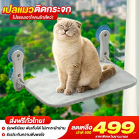 เปลแมวติดกระจก