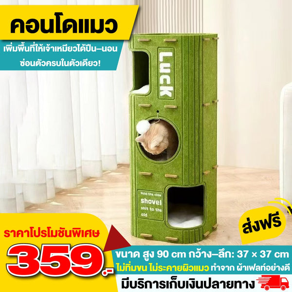 คอนโดแมวสุดน่ารัก