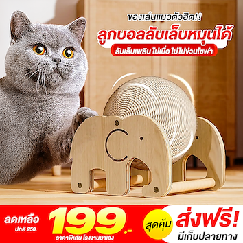 ลูกบอลลับเล็บหมุนได้