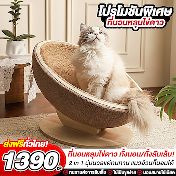 ที่นอนหลุมไข่ดาว