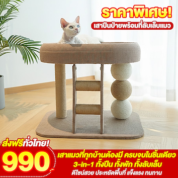 เสาปีนป่ายพร้อมที่ลับเล็บแมว