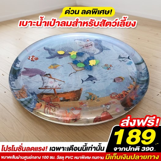 เบาะน้ำเป่าลมสำหรับสัตว์เลี้ยง