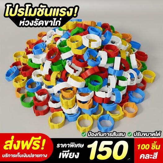 ห่วงรัดขาไก่