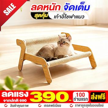 เก้าอี้โซฟาแมว