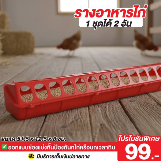 รางอาหารไก่