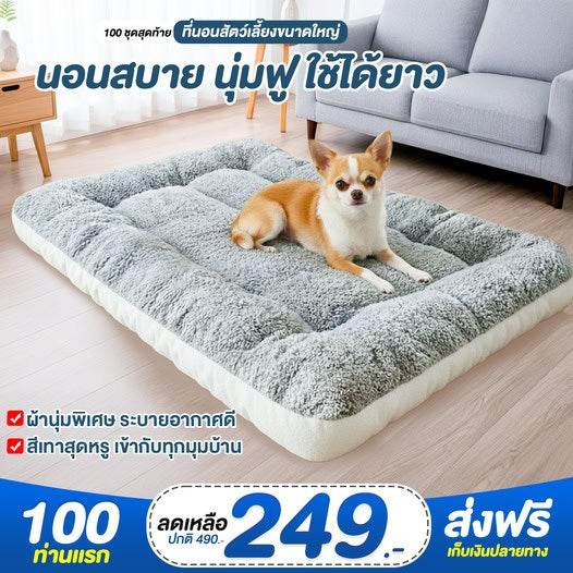 ที่นอนสัตว์เลี้ยงขนาดใหญ่