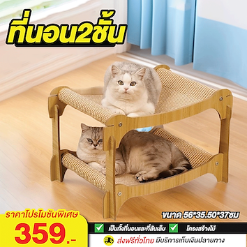 ที่นอน2ชั้น